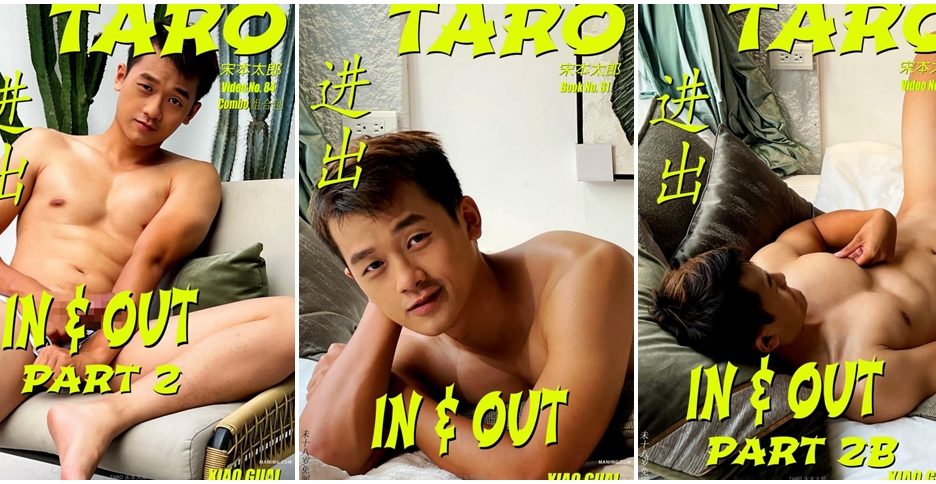 Taro IN & OUT Part 2 – Book No.81 + Video No.84-P2