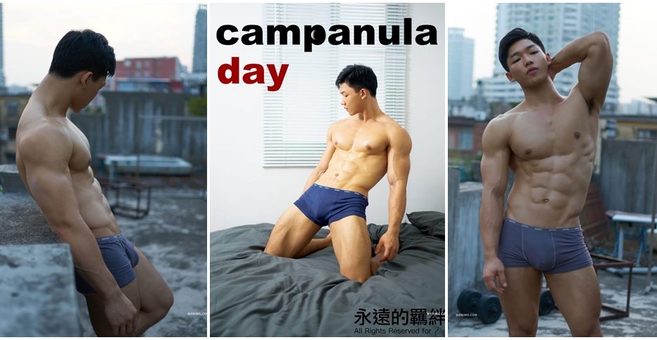 Campanula day (photo)
